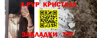 индика Будённовск