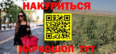 индика Будённовск