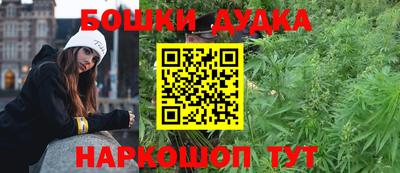 индика Будённовск
