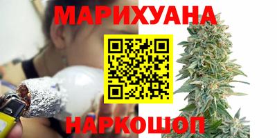 индика Будённовск